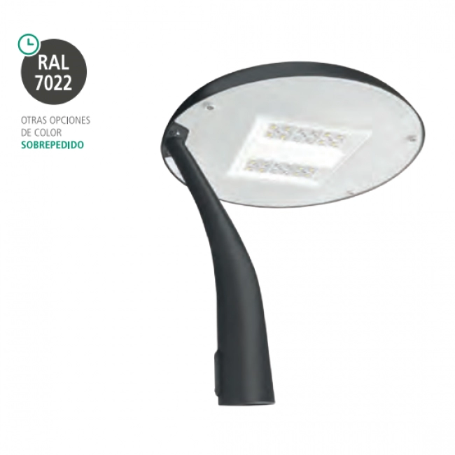 Lampara LED de Alumbrado Público Decorativo 40W Street Light Epsilon