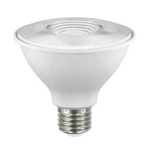 Reflector Par 38 IP65 Exterior 13W 6500K