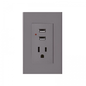 Toma +USB Línea Plus Color Gris