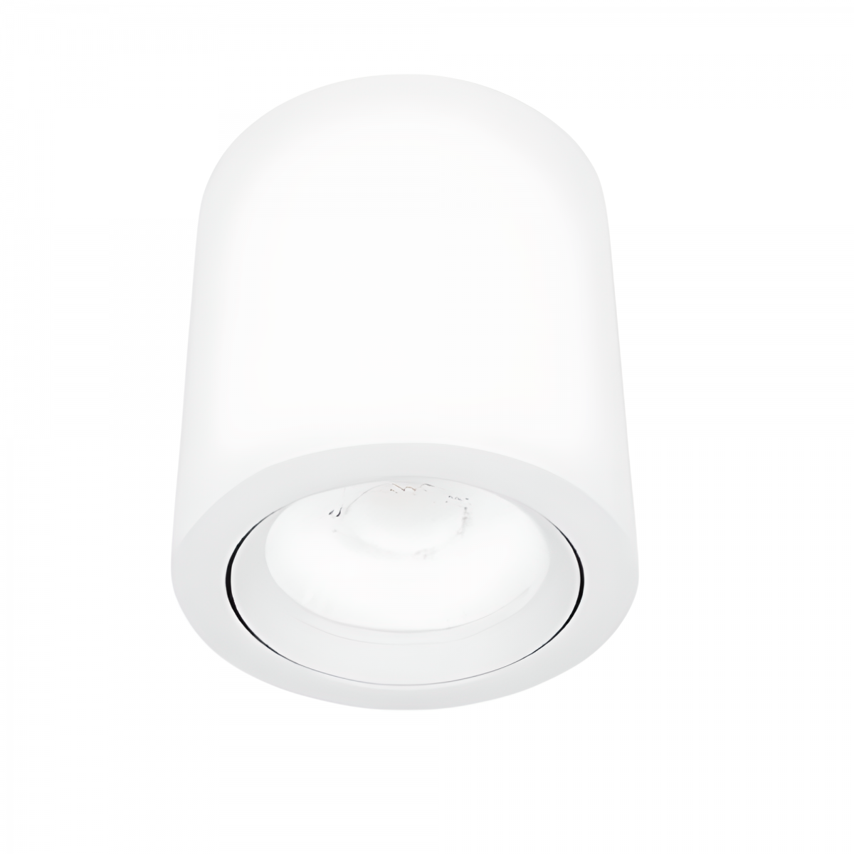 Lámpara de Sobreponer Dirigible 10W Color blanco Tecnolite