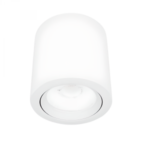 Lámpara de Sobreponer Dirigible 10W Color blanco Tecnolite