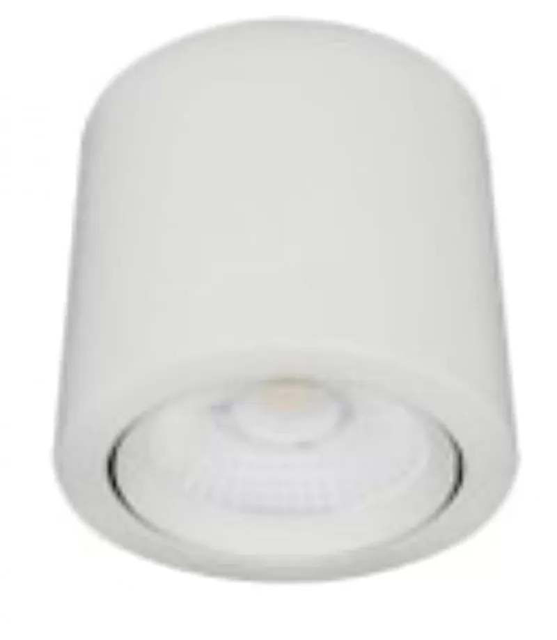 Cilindro led 20W Dimerizable dirigible 3000K blanco TECNOLITE