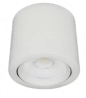 Cilindro led 20W Dimerizable dirigible 3000K blanco TECNOLITE
