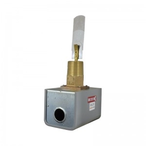 Interruptor de Flujo 1