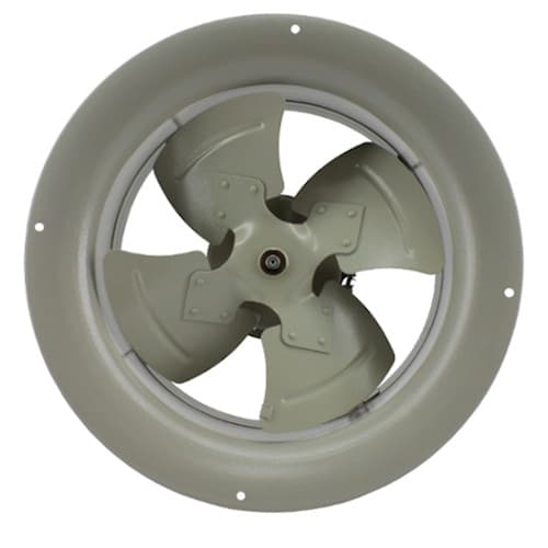 Campana Extractora 12