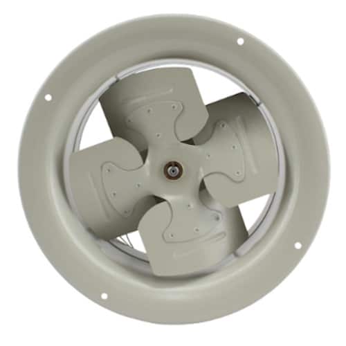 Campana Extractora 10