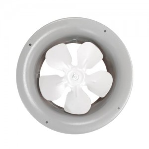 Campana Extractora 12