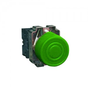 Pulsador Na 22Mm Verde con Capuchon Metalico Ebchq