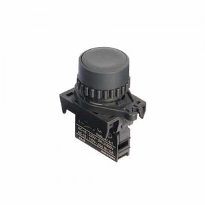 Pulsador Plastico 22Mm Na Negro 10A/110V Autonics