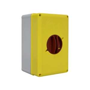 Interruptor Rotativo De Emergencia En Caja 4X63A Ip65 Palazzoli