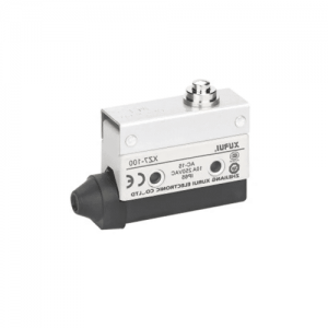 Micro Switch Grande Pivote Corto 10A 250Vac