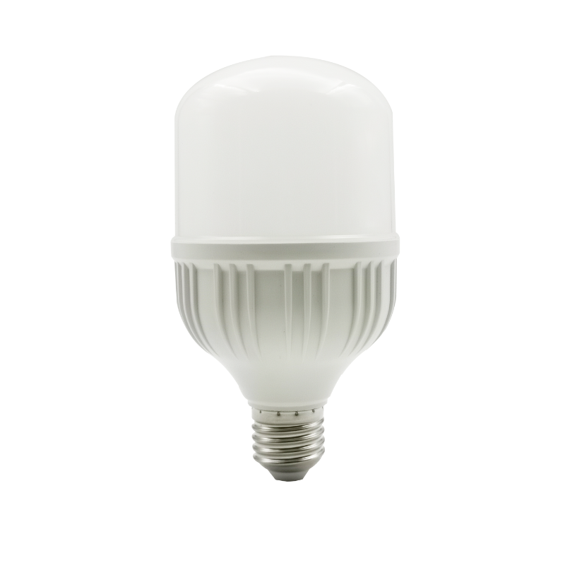 Bombillo Tecnolite LBH 20W 6500K