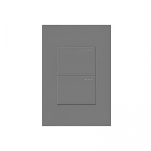 Interruptor Doble Línea Plus Color Gris