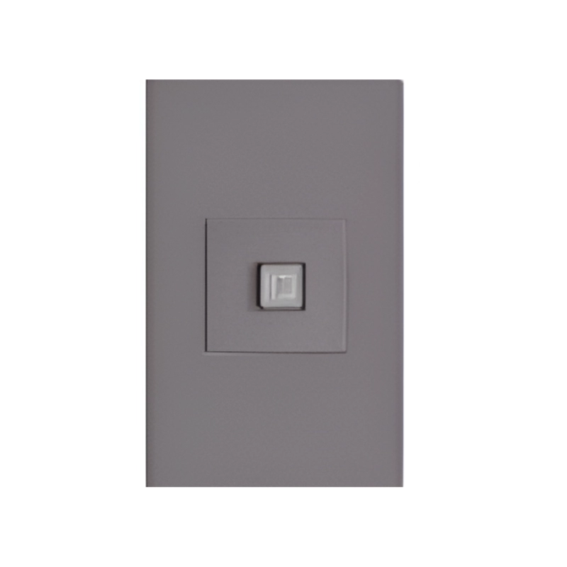 Toma RJ45 PC Línea Plus Color Gris