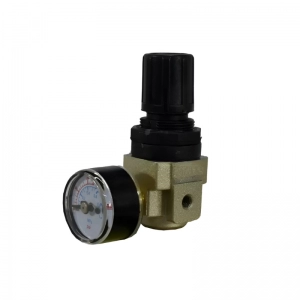 Regulador De Presión TR1000-M5 Puerto M5