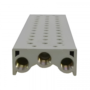 Manifolds Para Microválvulas FY100-12T