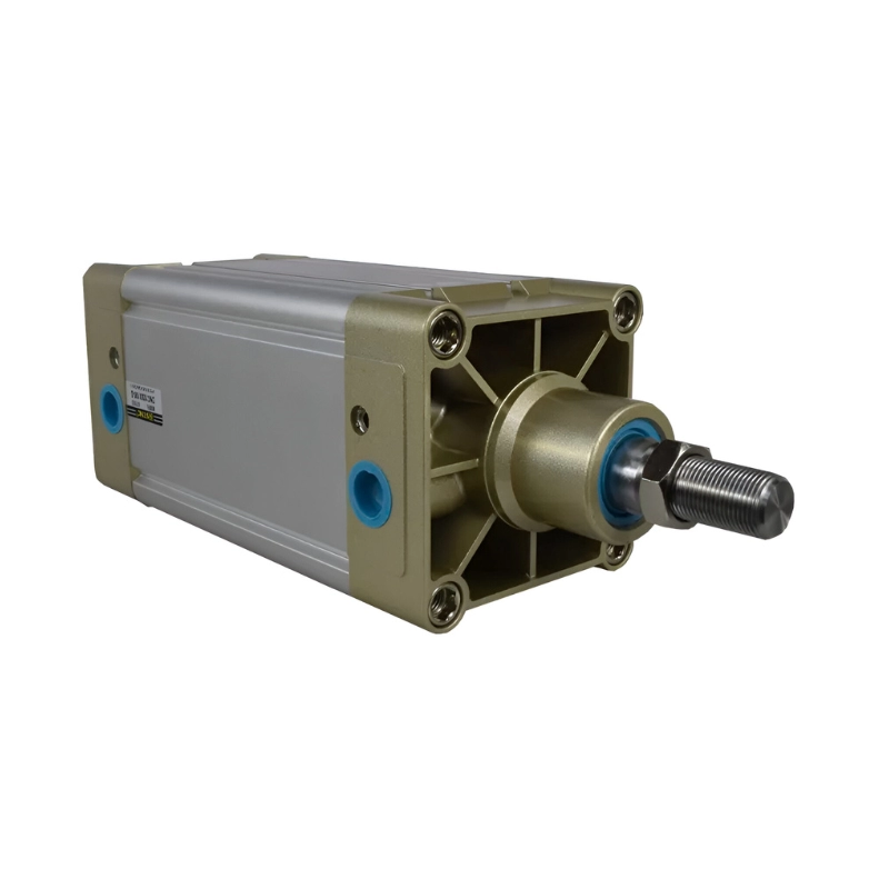 Cilindro De Efecto Doble 100mm Carrera 100mm DNC100X100-S