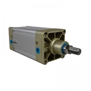 Cilindro De Efecto Doble 100mm Carrera 100mm DNC100X100-S