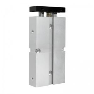 Cilindro Doble Twin Efecto Doble Ø16mm Carrera 100mm TN-16x100S