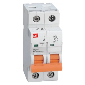Minibreaker BKH Riel Din 2 polos LG 63Amp 10kA 240V