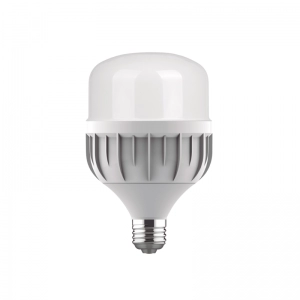 Bombillo Led 20W 6500K LBGFZ20W Ecolite