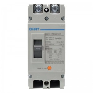 Breaker Industrial Chint 2 Polos 40A, 690V - 125H