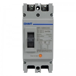 Breaker Industrial Chint 2 Polos 75A, 690V 125H