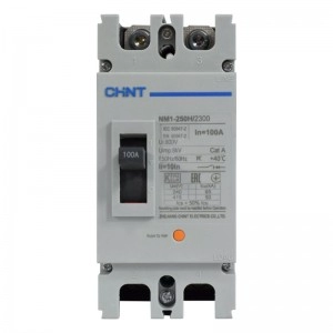 Breaker Industrial Chint 2 Polos 100A, 690V 250H