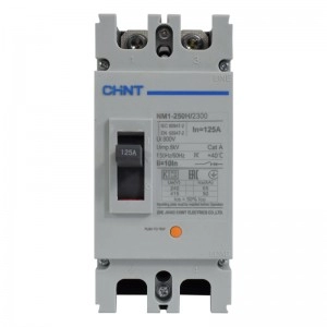 Breaker Industrial Chint 2 Polos 125A, 690V 250H