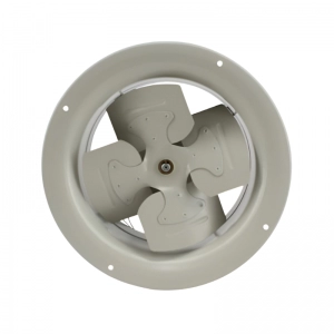 Campana Extractora 12