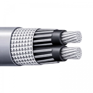 Cable Concéntrico Aluminio AL 1X6 + 6 XLPE/PVC