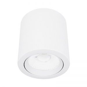 Spot Sobreponer Ashlesha En Blanco