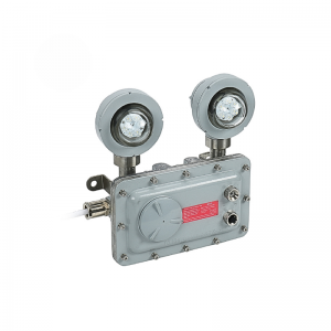 LED Emergencia R1 SylSecure 10W