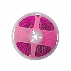Cinta LED Sencilla Directa 120V High Lumen Fucsia