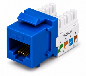 Jack Cat 6 UTP azul