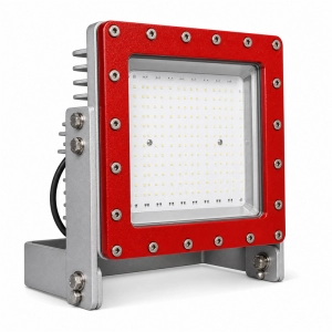 Reflector Kunga 50W