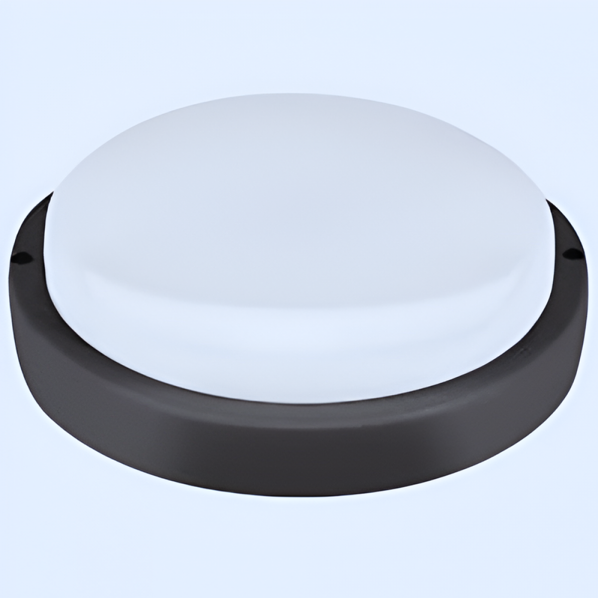 Tortuga Led Negra Redonda 6500K