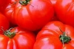 TOMATE