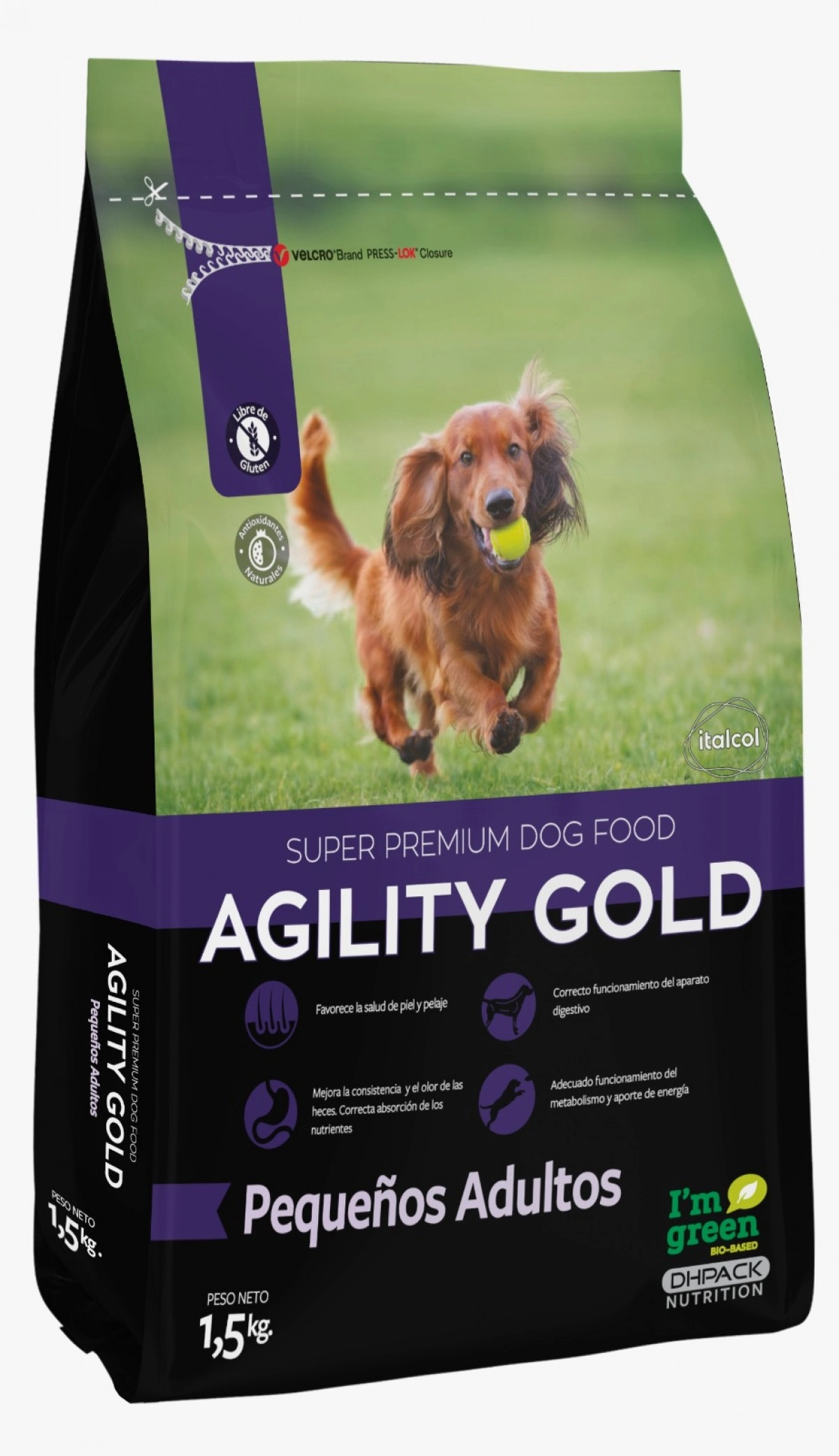 AGILITY PEQUEÑOS ADULTOS