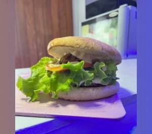 Hamburguesa artesanal