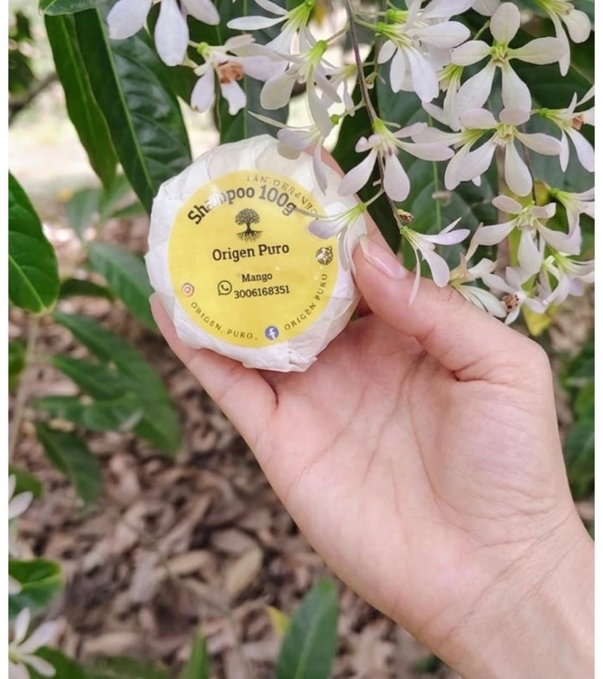 Shampoo en Barra Mango