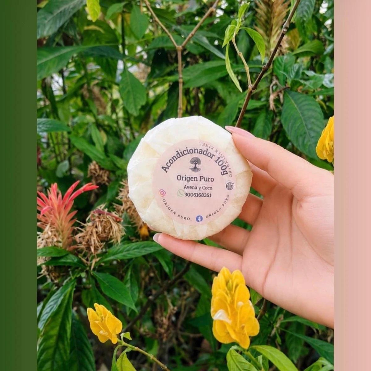 Acondicionador de Avena y Coco
