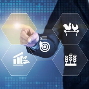 Comunidades dinamicas